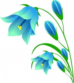 Колокольчик_1